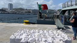 Tráfico internacional de droga | Associação criminosa | “Operação Vicking”. Prisão Preventiva. MP. DIAP Regional de Évora